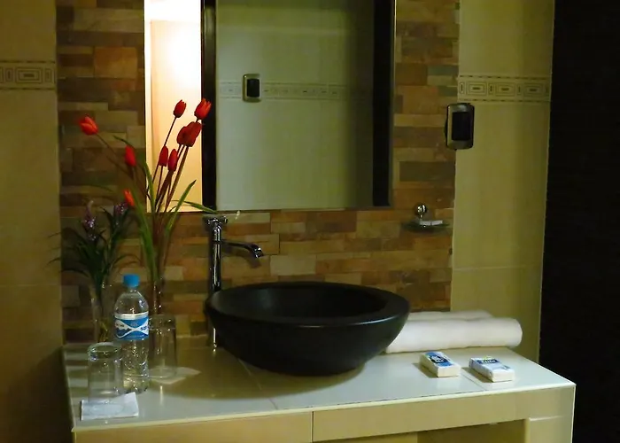 Hotel Imagen Plaza